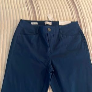 Brand New Loft Skinny Ankle pants
